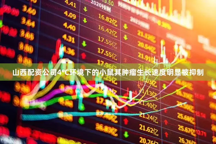 山西配资公司4℃环境下的小鼠其肿瘤生长速度明显被抑制
